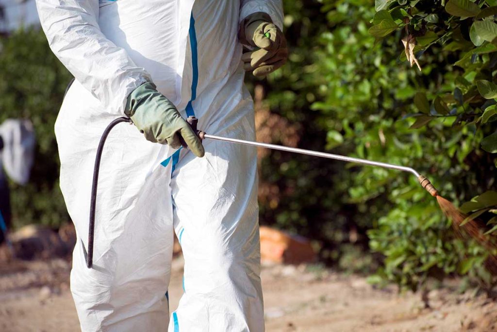 Recomendaciones para reducir las plagas este verano en España