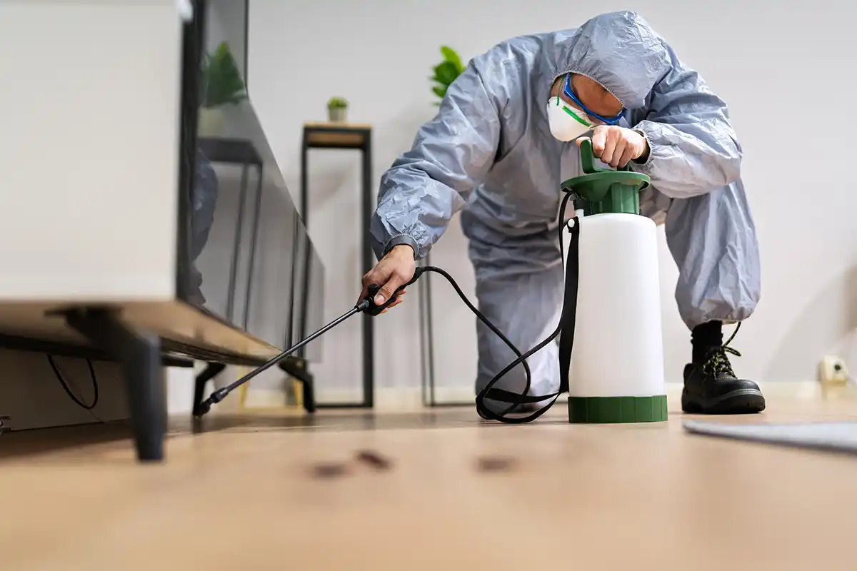 Plagas habituales en primavera consejos para evitarlas