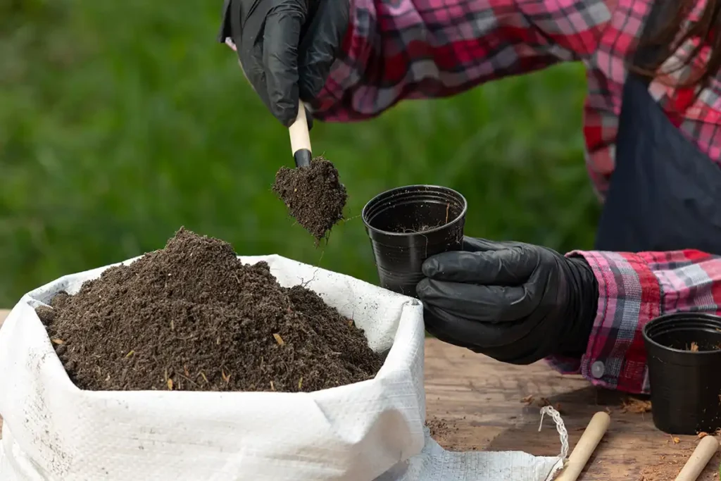 Abono natural para cuidar las plantas del jardín