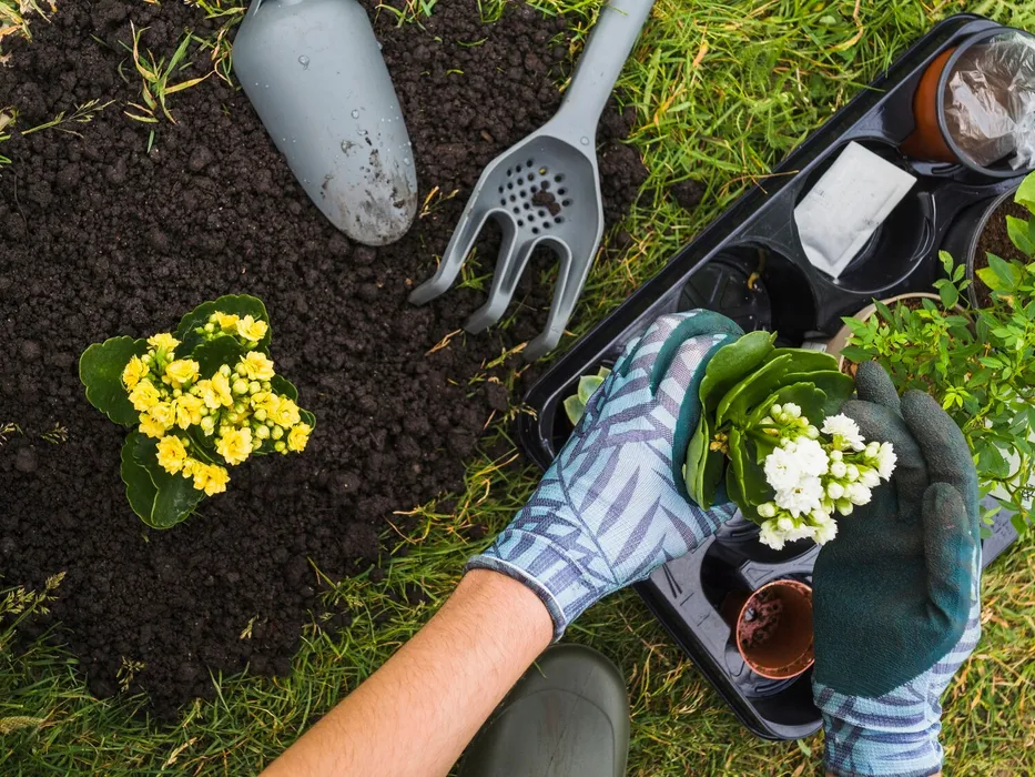 6 claves para el mantenimiento y cuidado de jardines en primavera