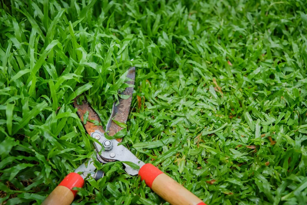 6 claves para el mantenimiento y cuidado de jardines en primavera 6 claves para el mantenimiento y cuidado de jardines en primavera